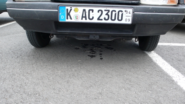 p1040290.jpg