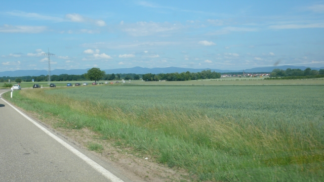 p1040539.jpg