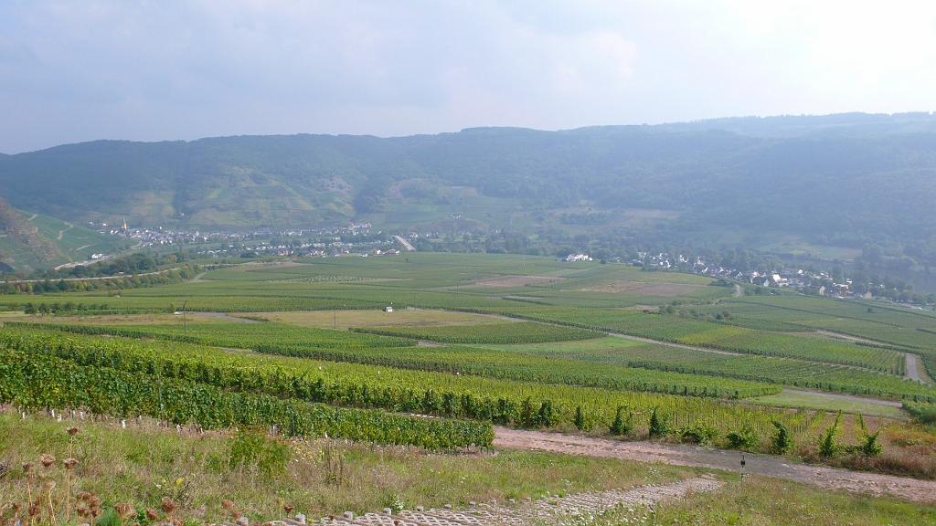 p1070237.jpg